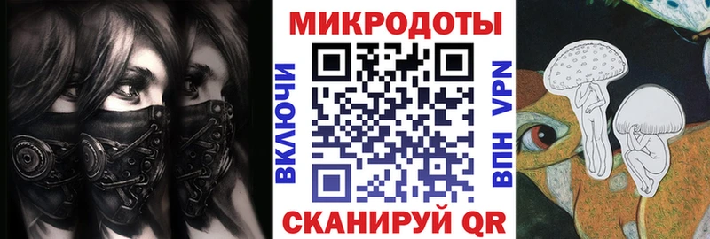 закладка  Нюрба  Псилоцибиновые грибы MAGIC MUSHROOMS 