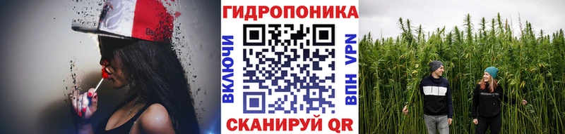 Марихуана конопля  блэк спрут сайт  Нюрба  купить  